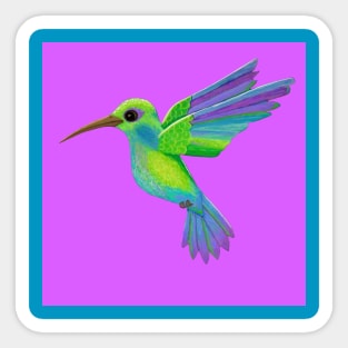 Pretty Hummingbird Sticker